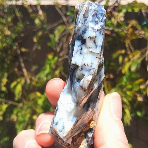 Semi Polished Beautiful Dendritic Opal Slab - Picture 5 of 17